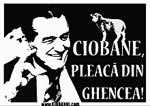 ciobanul4.jpg