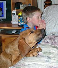 puppyprayer.jpg