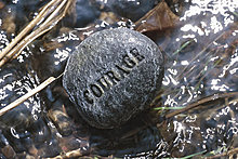 courage1.jpg