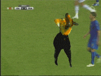 20045yu858.gif