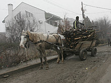 caruta-lemne-11111din-pa.jpg