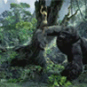 gdpit_com_63508937_89.gif