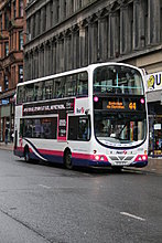 44.jpg