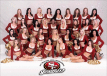 san_francisco_49ers.gif