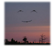 smile2.png