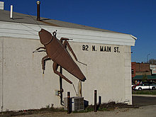 big-cockroach.jpg
