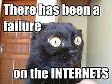 758660-lolcat_super.jpg