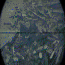 avatar_9201.gif