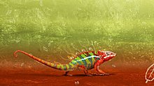 wallpaper-352569.jpg