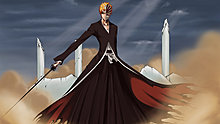 animepaper-wallpapers_bleach_hannan-1.6-_1920x1200_72225.jpg