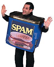 spam-20boy.jpg
