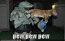 funny-pictures-halo-dog-pew.jpg