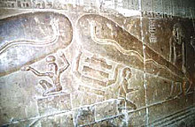misterio_elec_10.jpg