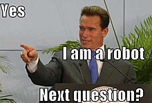 bot.jpg