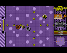 sgdv.png