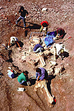 top-secret-06.jpg