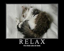 motivational-poster.jpg