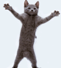 anigif.gif