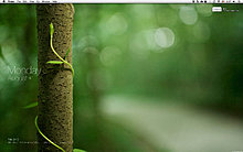 graft_desktop_aug.jpg