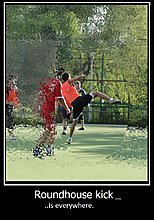 img_1543.jpg