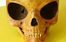 sealand-skull.jpg