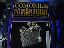 dsc00195.jpg