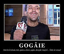 gogaie.jpg