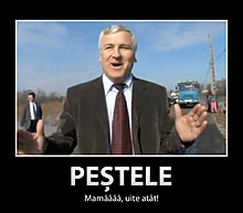 pesteleuiteatat.jpg