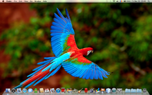 screen-shot-2010-12-31-8.49.32-pm.png