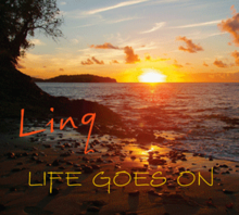 linq-lifegoesoncd.png