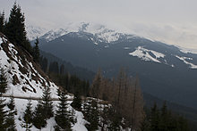 img_4315-cg.jpg
