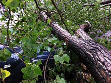 img_0985r.jpg