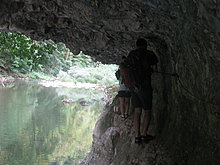 img_7959.jpg