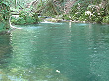 img_8004.jpg