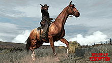 red_dead_redemption_ps3xbox360_rks_screenshot_02.jpg