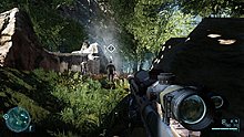 jungle_02.jpg