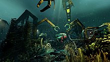 soma-4.jpg