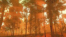 firewatch5.jpg