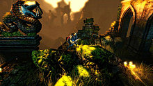 trine_6.jpg