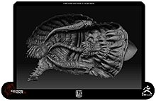 leviathan_mouth_02.jpg