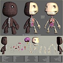 anatomie_sackboy.jpg