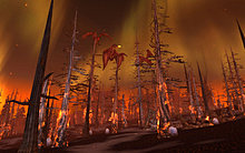 wowscrnshot_111308_175401.jpg