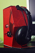 graft_brink_turtlebeach_p11_4.jpg