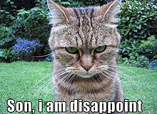 47376_orig-son_i_am_disappoint_trollcat.jpg