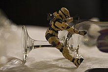_mg_1657_1.jpg
