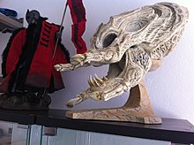 img_0406.jpg