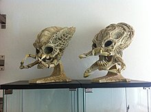img_0412.jpg