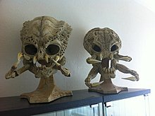 img_0414.jpg