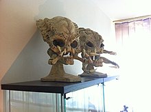 img_0418.jpg