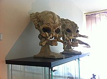 img_0419.jpg